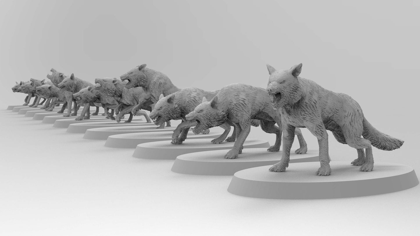 Lobos